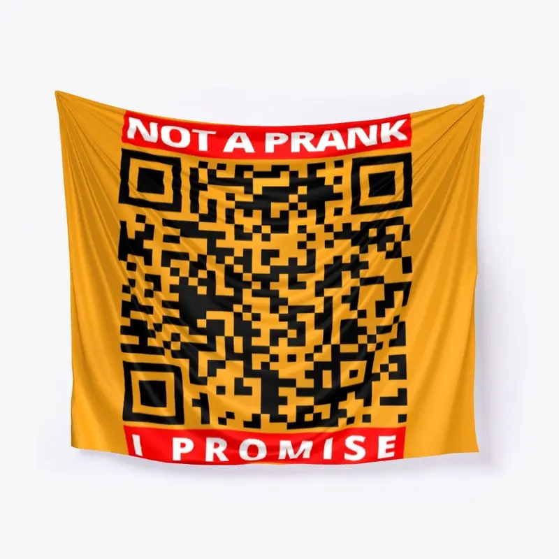 Not a prank I promise Prank Rick roll QR